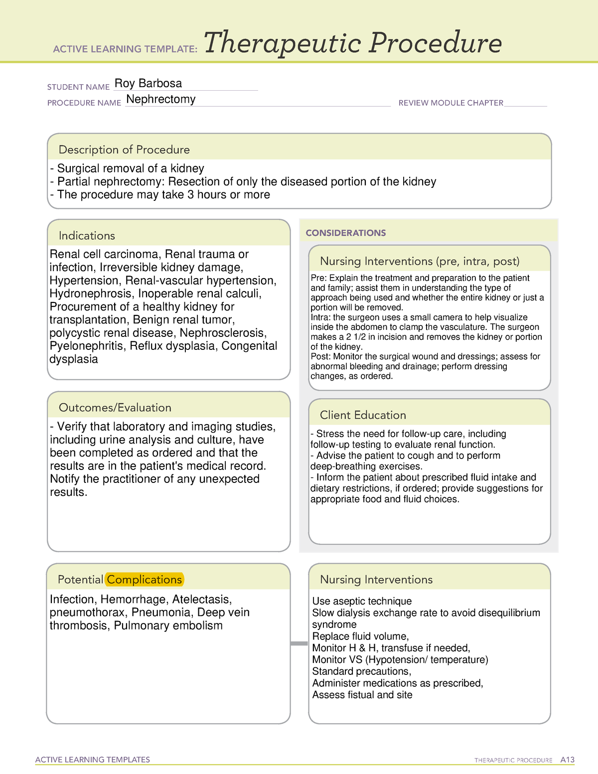 therapeutic-treatment-for-patient-active-learning-templates-therapeutic-procedure-a