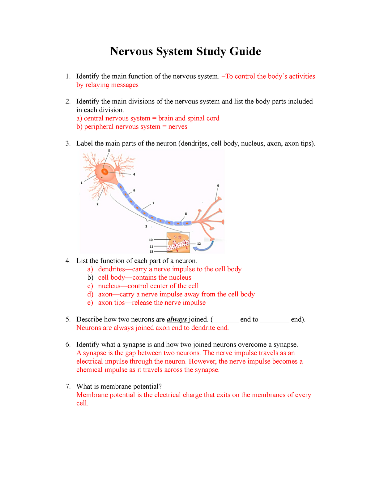 nervous system clinical case study answers