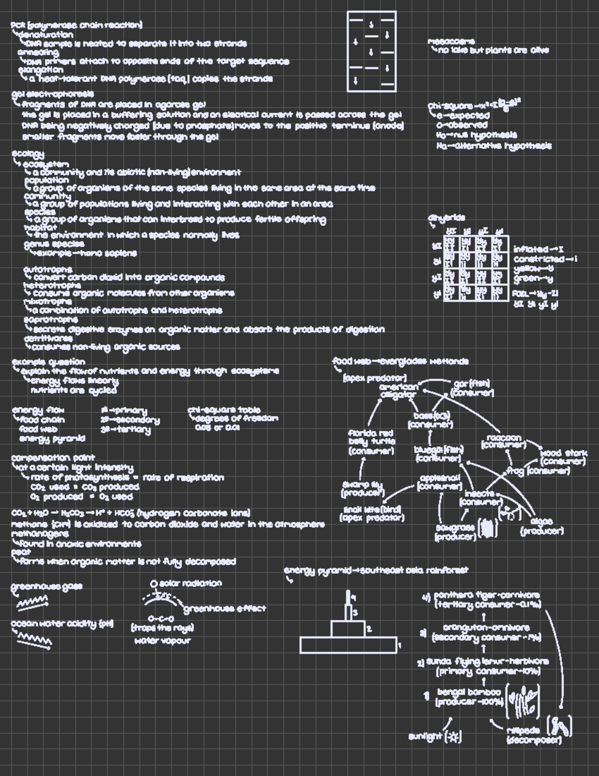 Biology Notes Page Six - PCR. (polymerase chain reaction ↓ enatriation ...