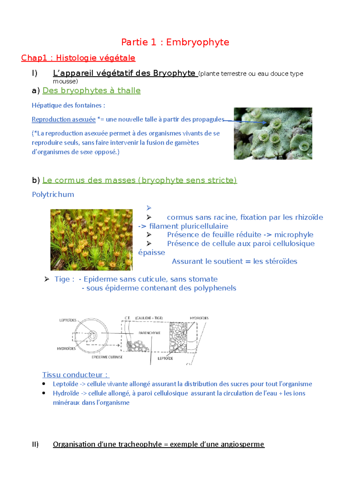 Bio V Chap 1 Histo Végé Cours Partie 1 Embryophyte Chap1 Histologie Végétale I L 0357