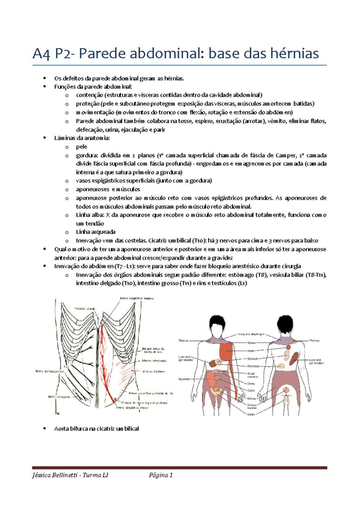 Anatomia Da Parede Abdominal (hérnias) - StuDocu