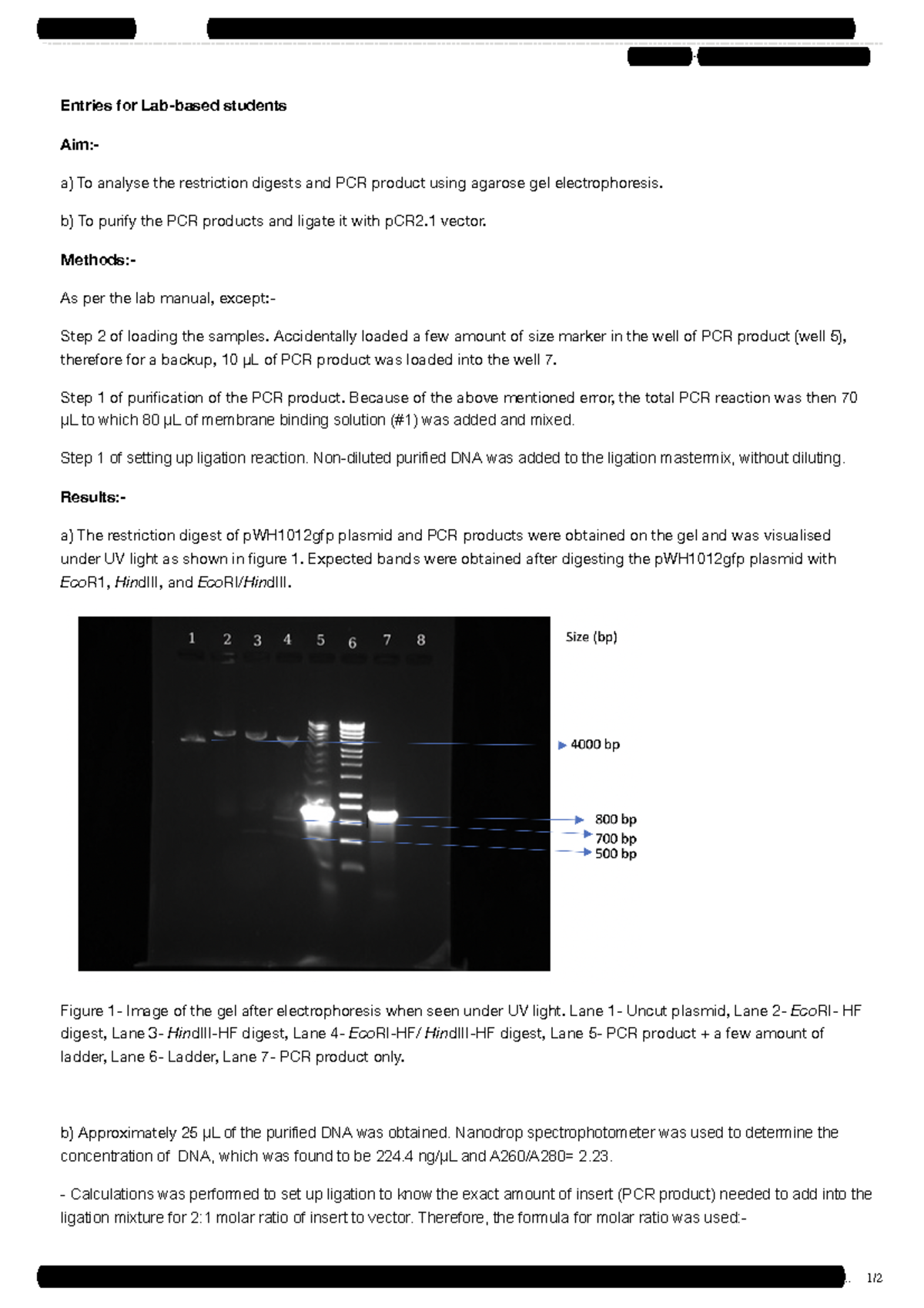 BIOL2162 6162 Labs - Lab based Week 2 - Lab based - Lab Archives, Your ...