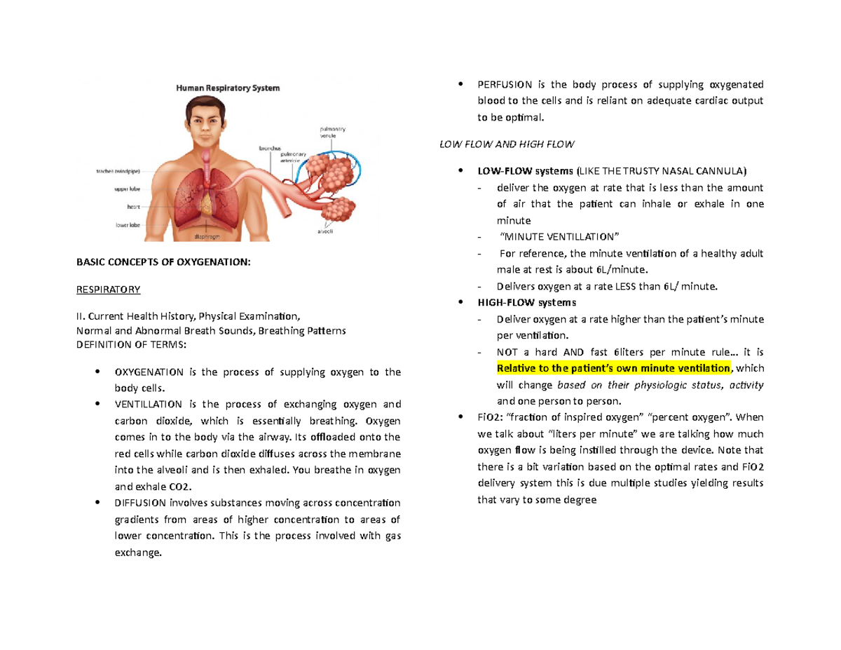 Nursing Care Plan - MedSurg - FEU - Studocu