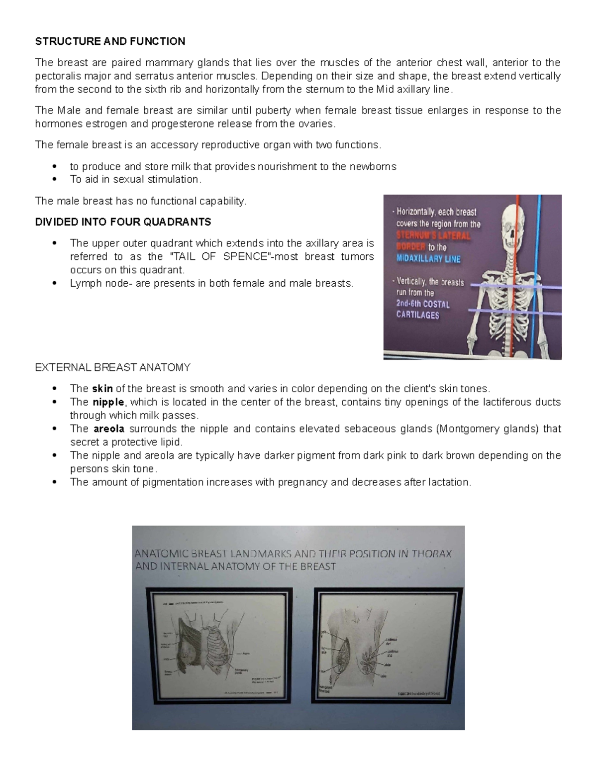 Assessing- Breast - Stop - STRUCTURE AND FUNCTION The breast are paired ...