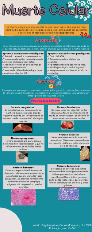 5.6 Resumen - Patología - Studocu