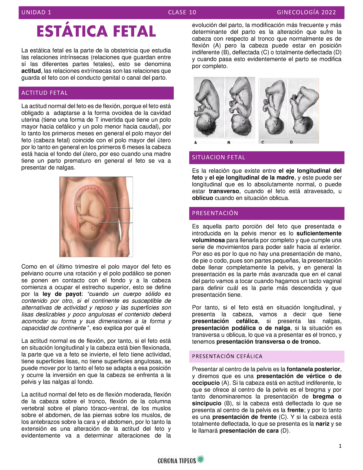 10. Estática fetal y movil - Dr Fuentes - ESTÁTICA FETAL La estática ...