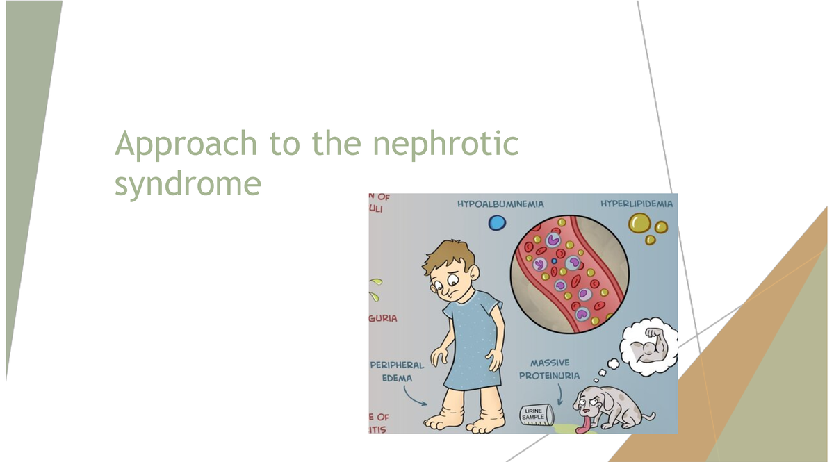 Approach To The Nephrotic Syndrome - Approach To The Nephrotic Syndrome ...