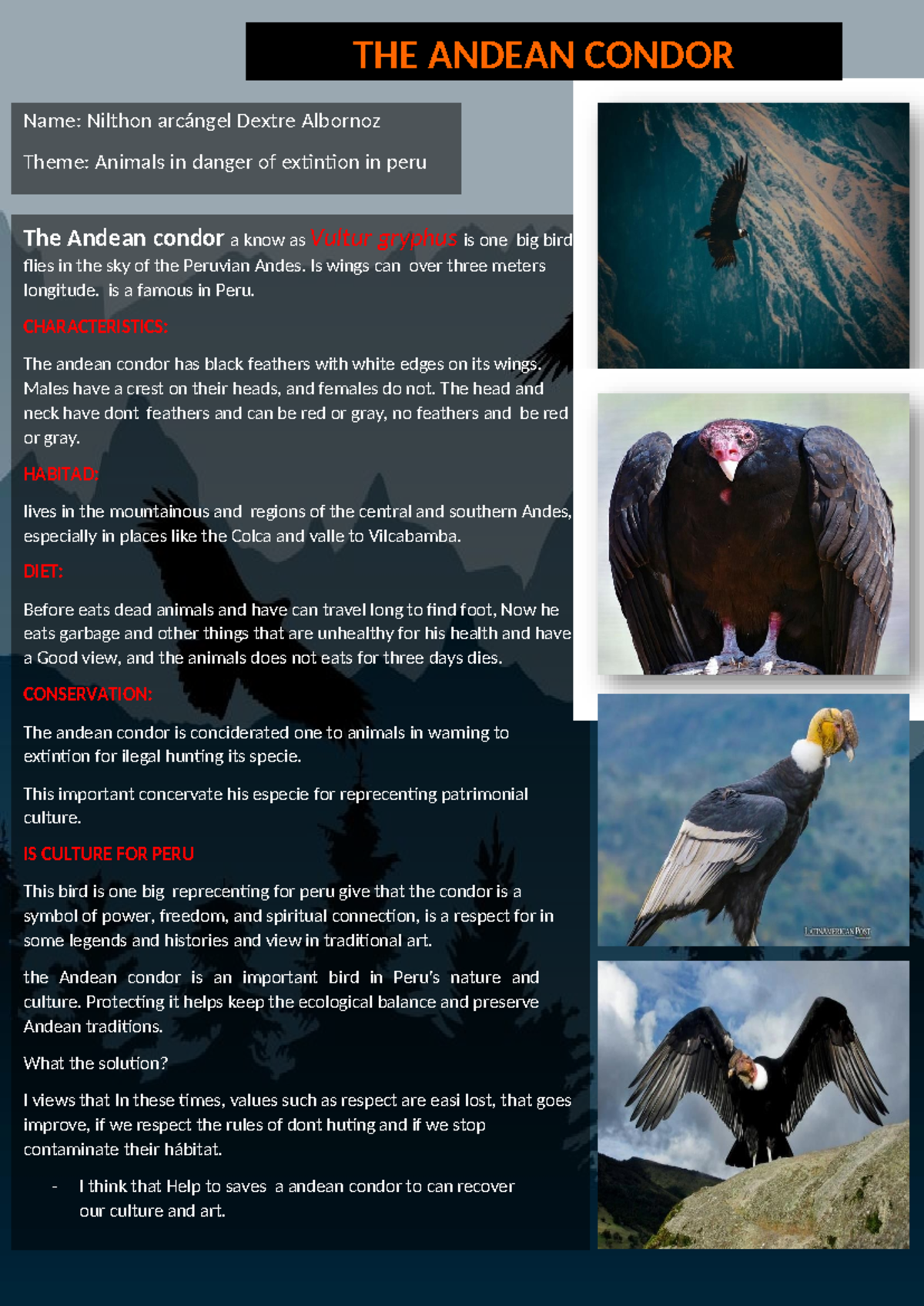 Tarea ingles (writen work) - THE ANDEAN CONDOR Name: Nilthon arcángel ...