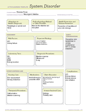 NUR380 Simulation Concept Map - NUR 380 Fundamentals of Professional ...