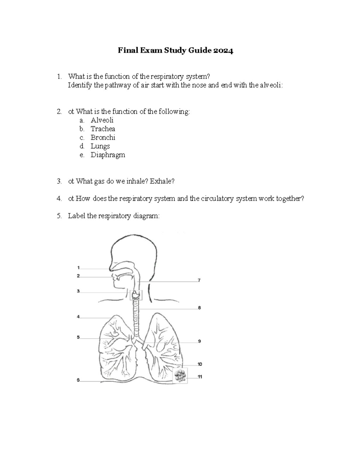 Final+Exam+Study+Guide - Final Exam Study Guide 2024 What is the ...