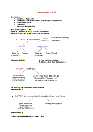 Méthodologie Commentaire D Article Directives Sur La Méthodologie