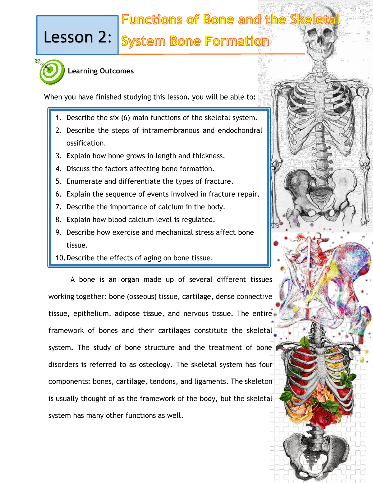 assignment on skeletal system