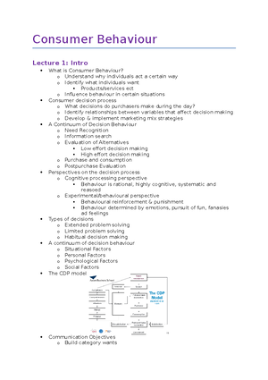 Lecture 1 - Lecture 1 - Consumer Decision Making Process Model ...