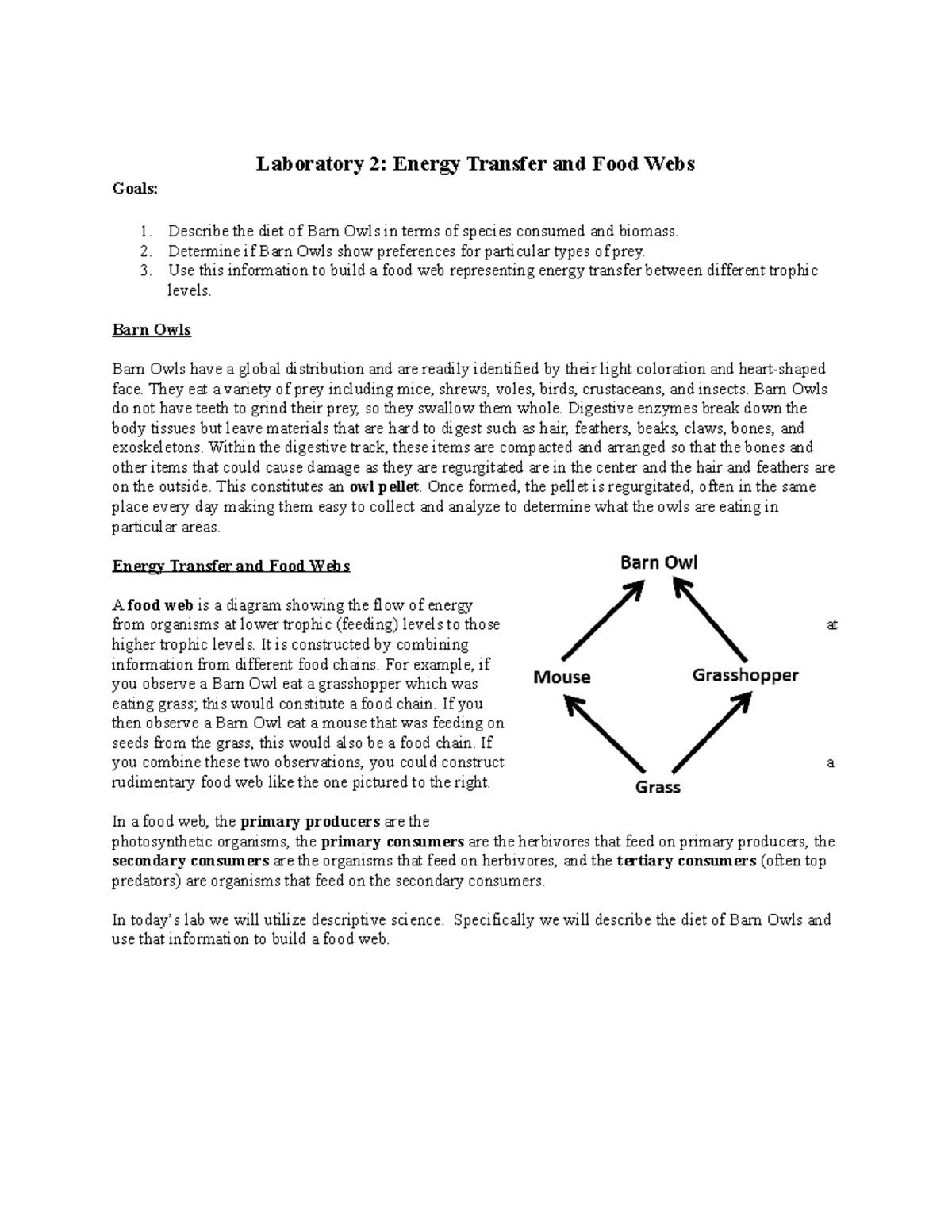 02 BIOL 120 Lab Manual Owl Pellet Laboratory 2 Energy Transfer and