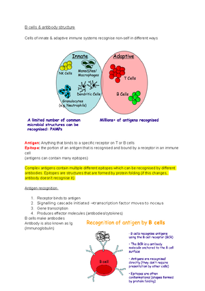 Immunology - lecture 6 (T cells, T cell receptors MHC) - T cells, T ...