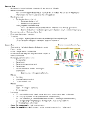 Test Bank for Genetics From Genes to Genomes 7th Edition Michael ...