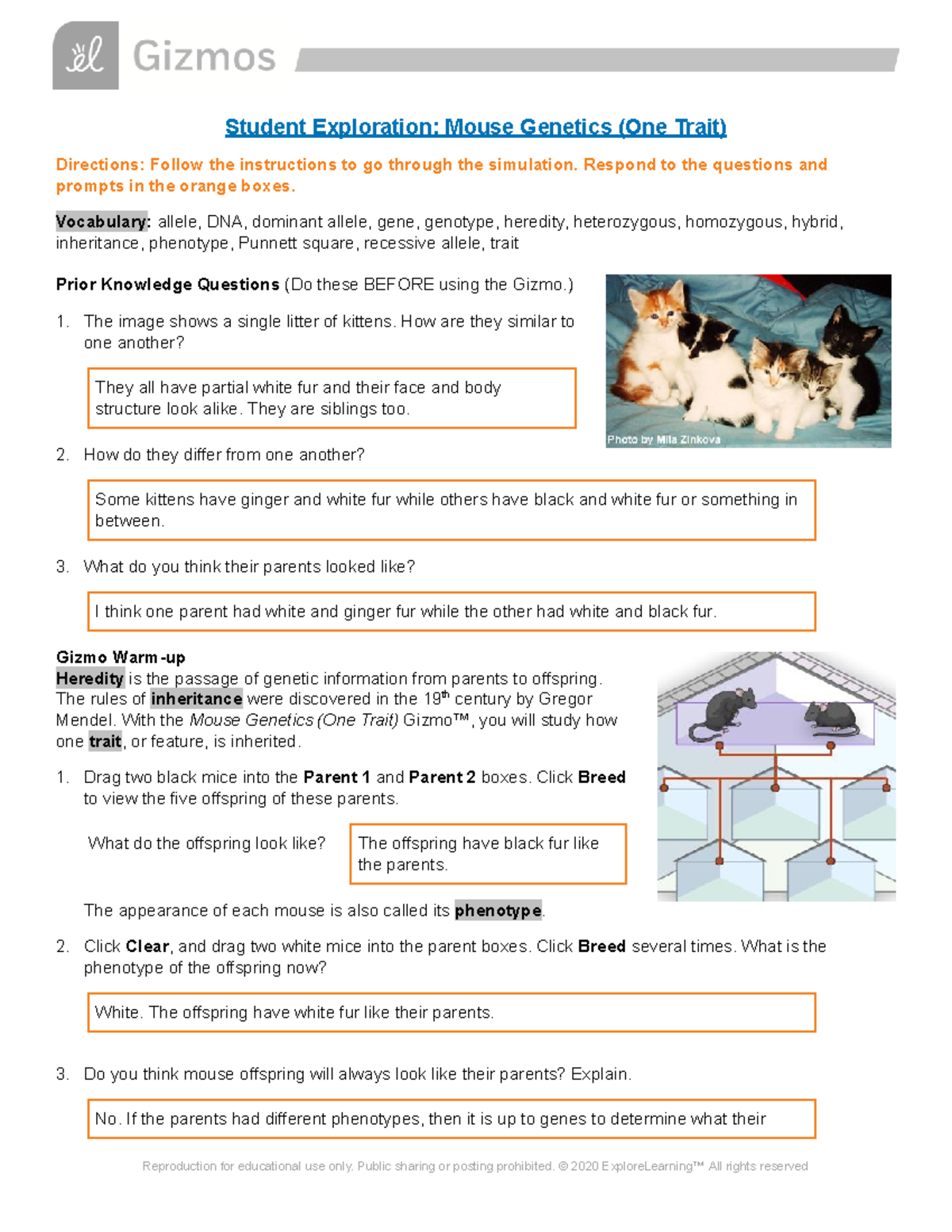 Mouse Lab write up Student Exploration Mouse (One