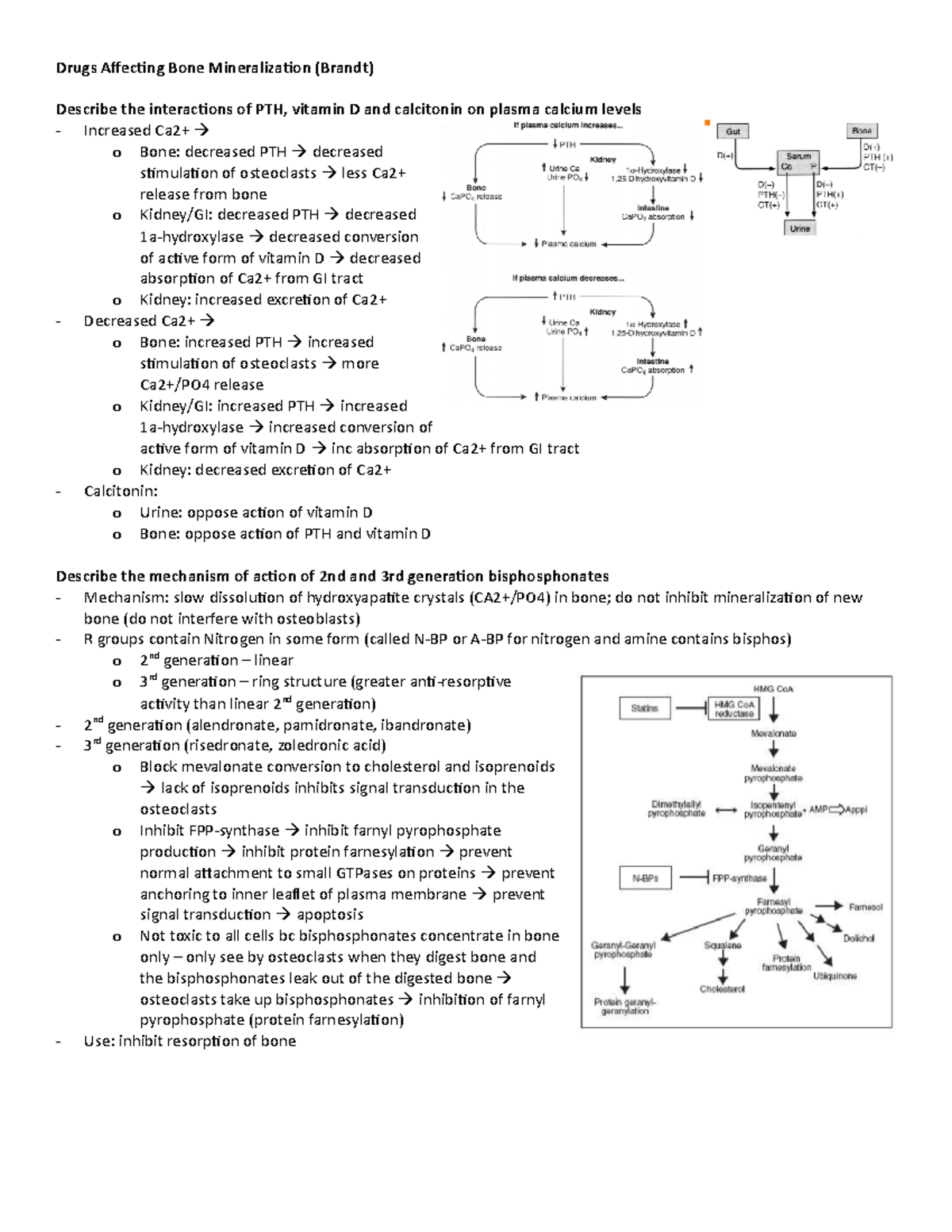 7. Drugs Affecting Bone Mineralization (Brandt) - Drugs Affecting Bone ...
