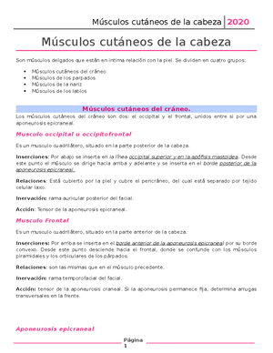 Final anato completo - CRÁNEO La línea de Poirier separa la calota ...