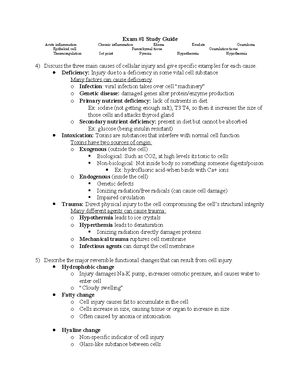 Pathophysiology: Exam 3 Study Guide - HSC 411 – Pathophysiology Exam #3 ...