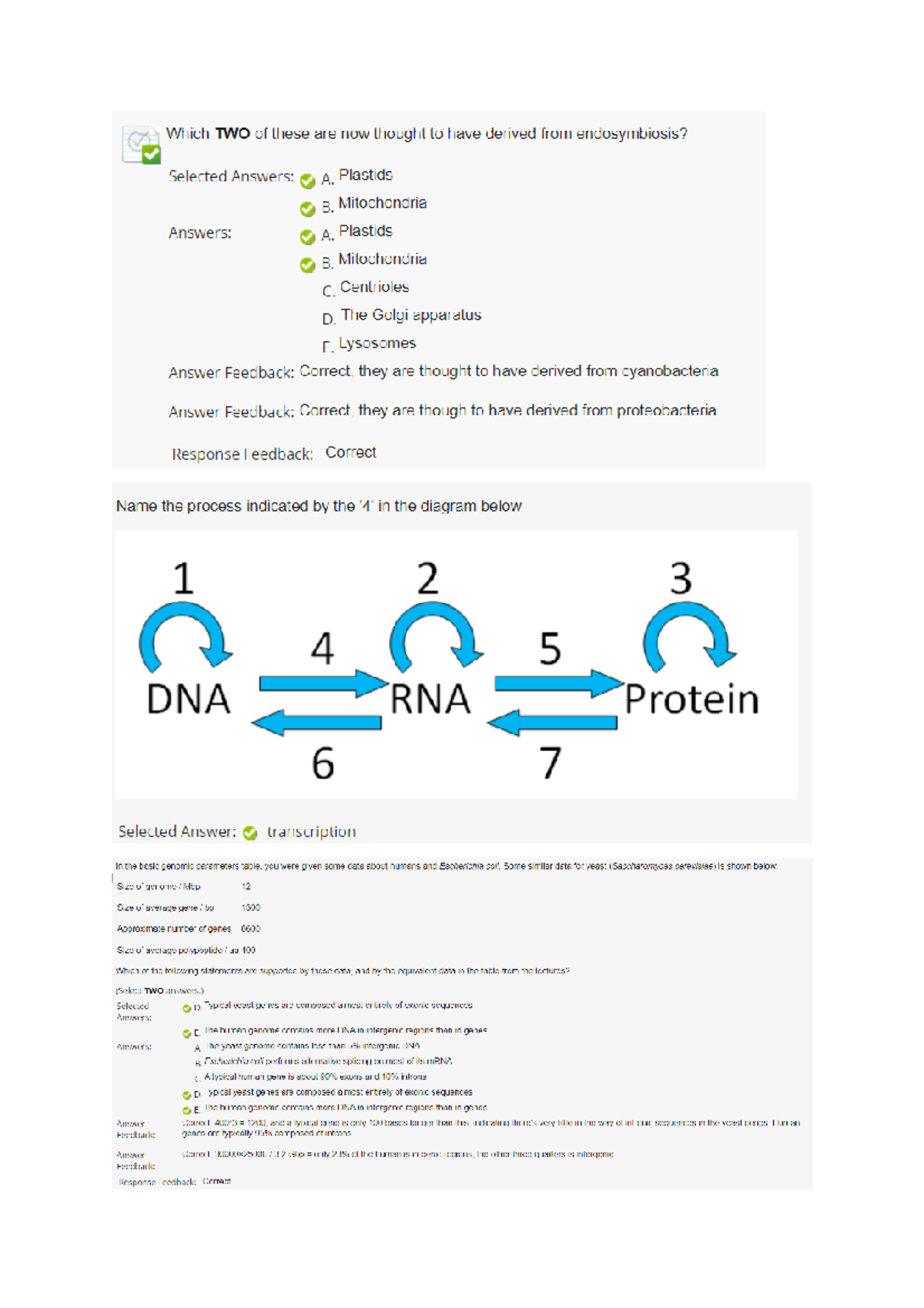 Molecular Biology MCQs 1 Studocu   Thumb 1200 1698 