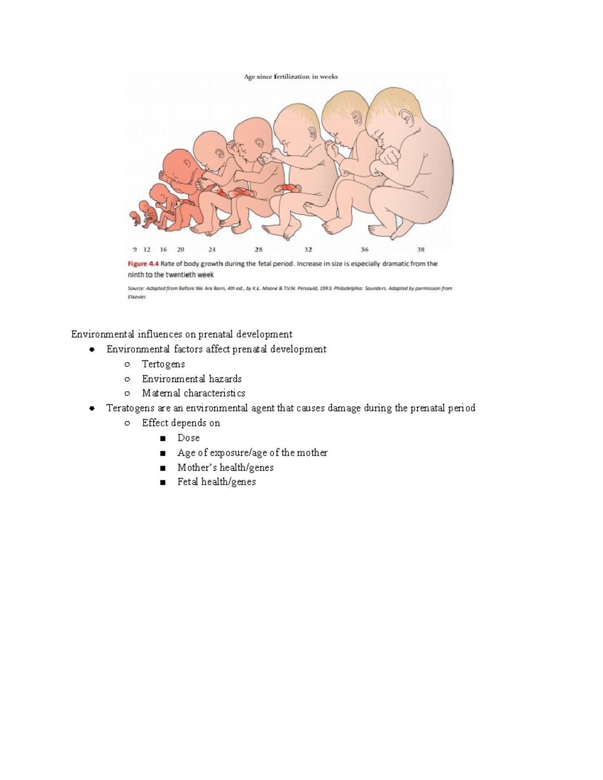 PSY2105 E Final Exam Review - Environmental Influences On Prenatal ...