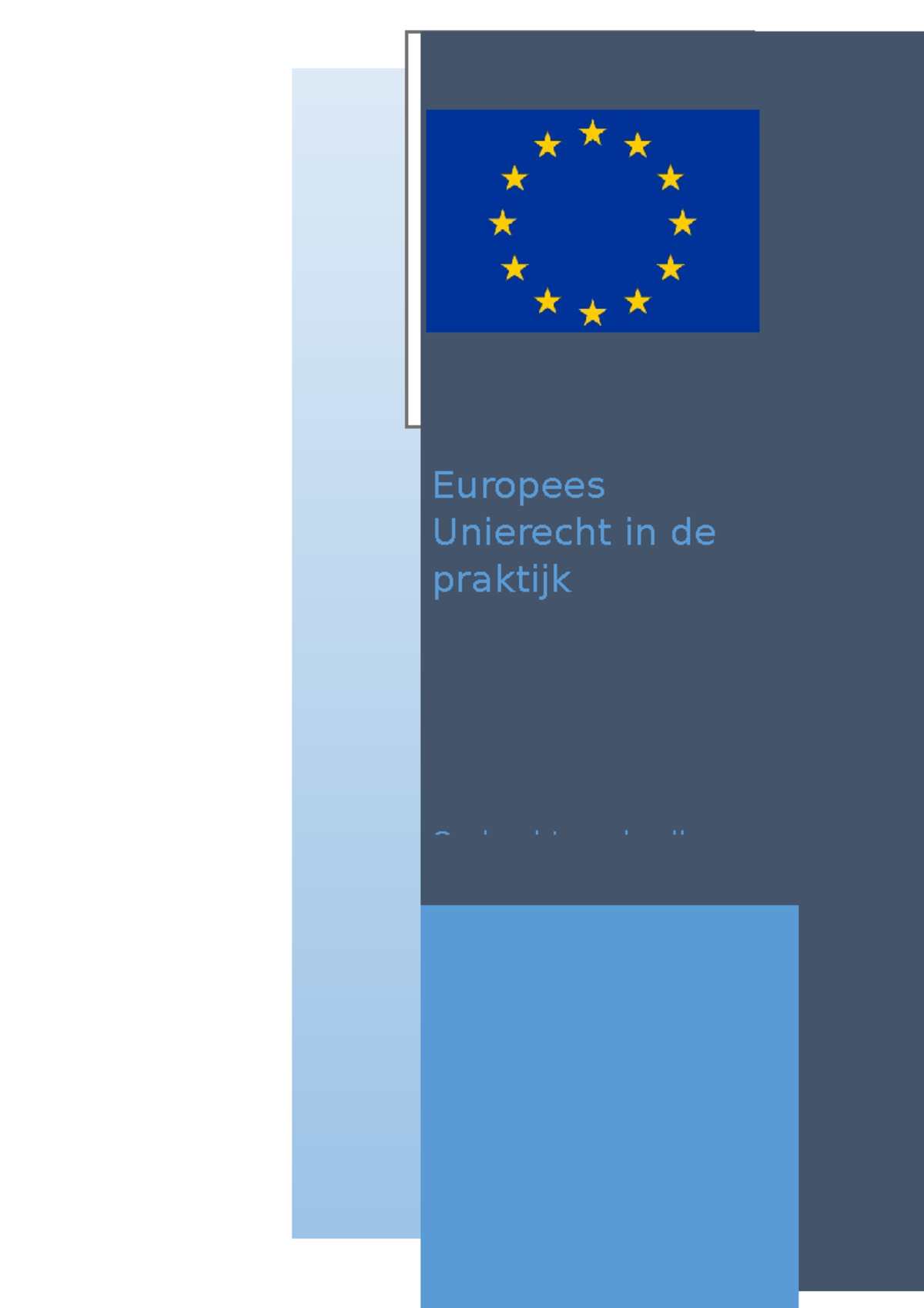 EU Opdracht Werkcollege 3 - Europees Unierecht In De Praktijk Opdracht ...