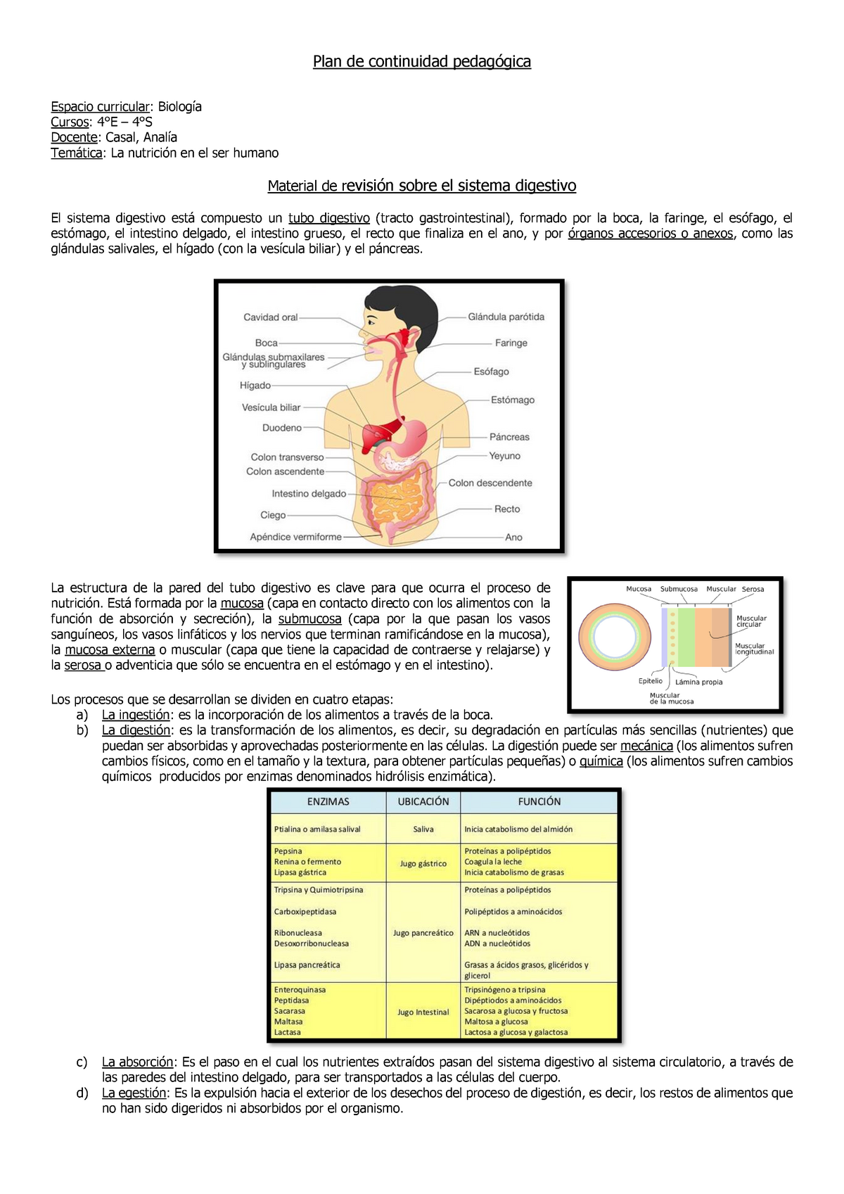 Biologia Tp N°3 Sistema Digestivo Warning Tt Undefined Function 32 Plan De Continuidad 5327