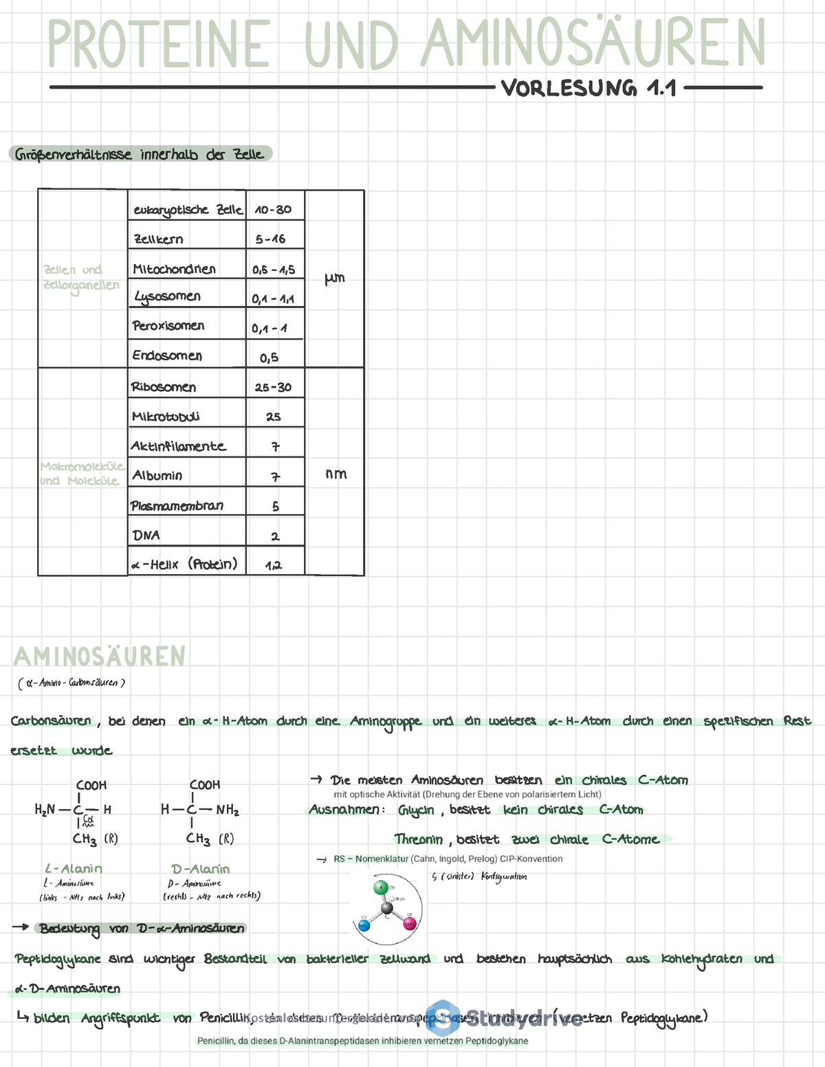 Biochemie Zusammenfassung 230209 164248 I U S ORLESUNG