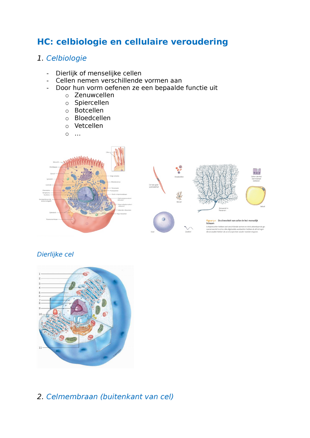 HC 2 Celbiologie (samenvatting) - HC: Celbiologie En Cellulaire ...