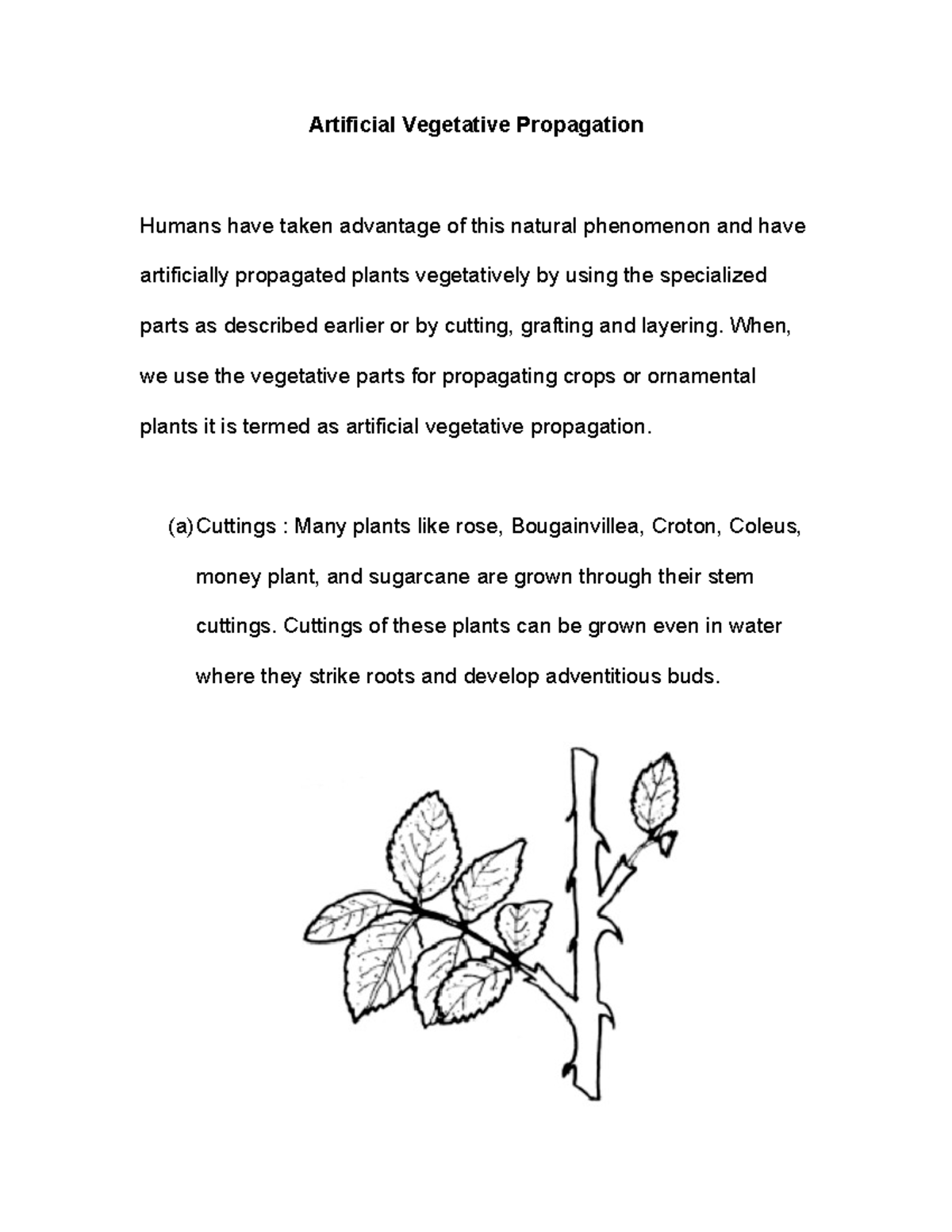 Artificial Vegetative Propagation When, we use the vegetative parts
