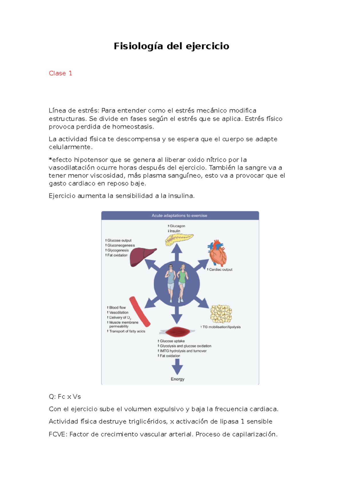 Fisiología del ejercicio - Fisiología del ejercicio Clase 1 Línea de ...