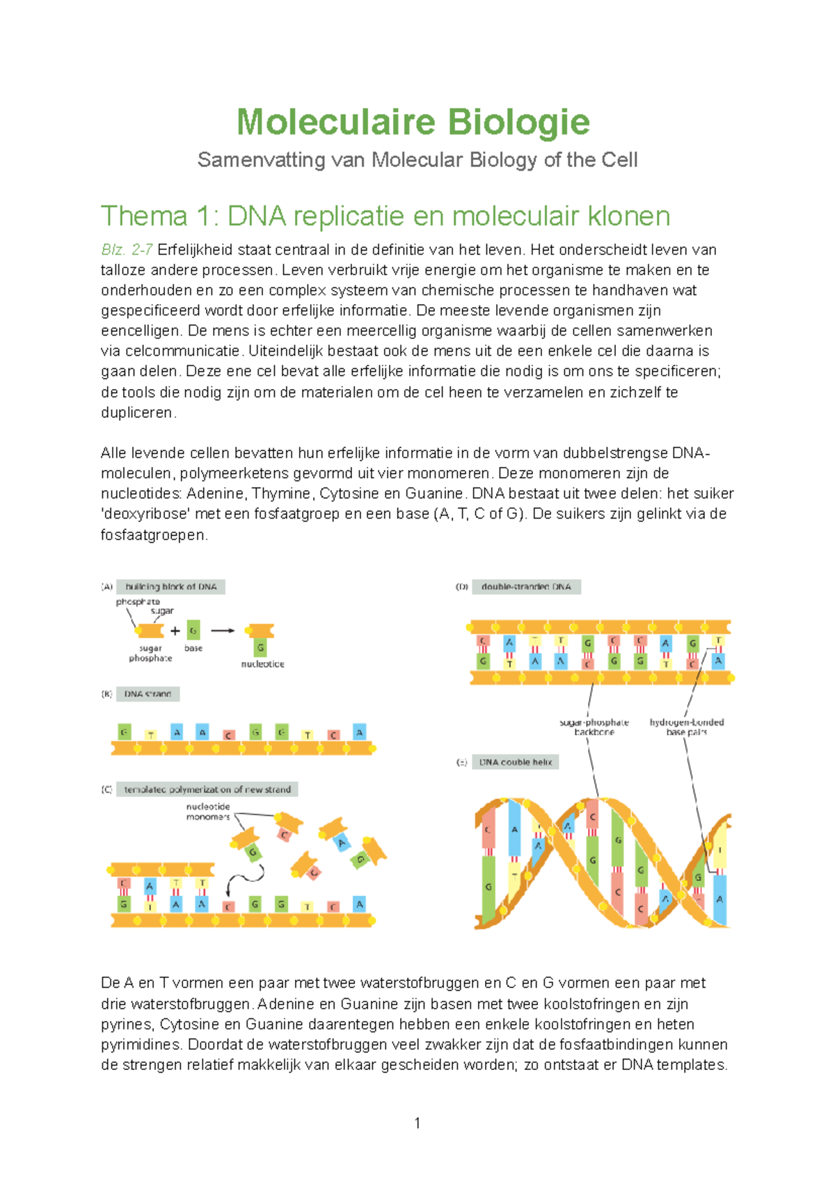 Moleculaire Biologie - Samenvatting - Moleculaire Biologie Samenvatting ...