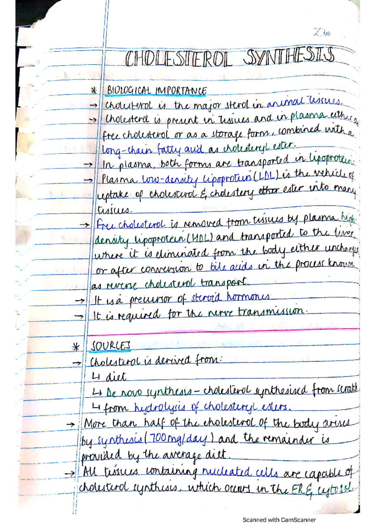 Cholesterol synthesis Fundamentals Of Human Anatomy And Physiology