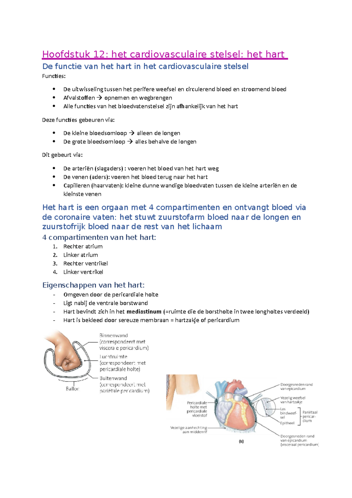 Hoofdstuk 12: Het Cardiovasculaire Stelsel: Het Hart - Het Epicardium ...