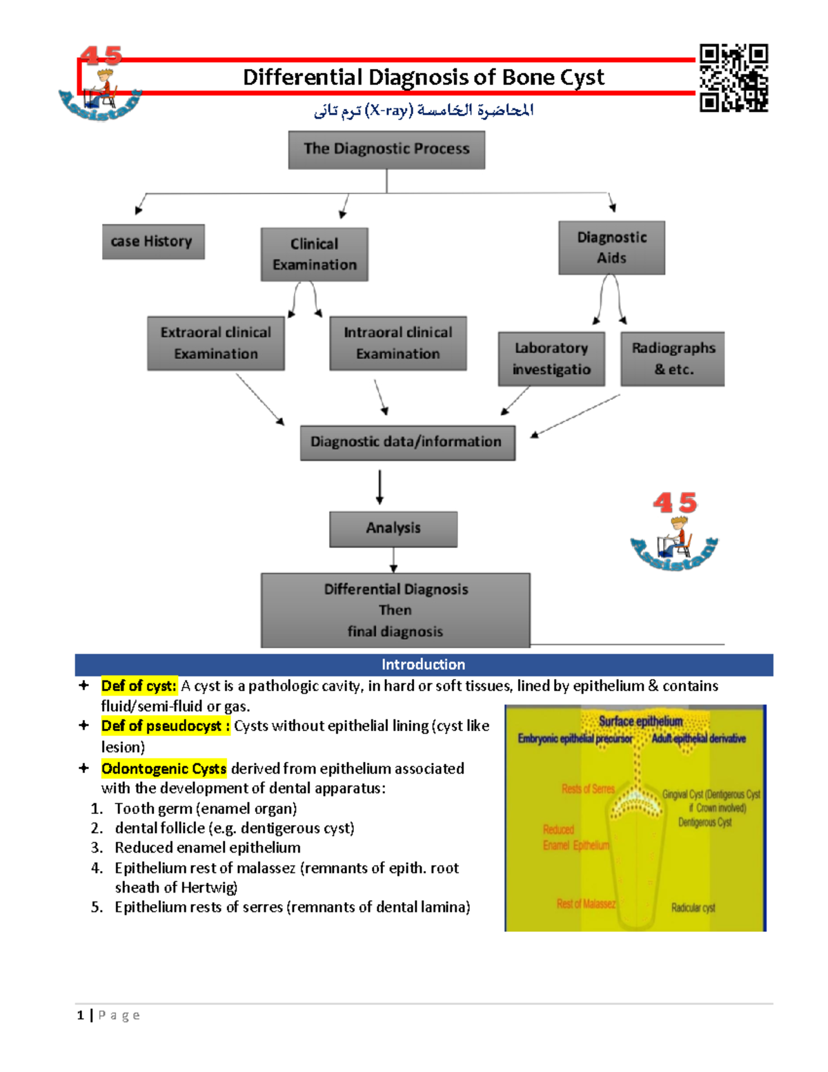 05 D.D Of Cysts radiology in dentistry Differential Diagnosis of