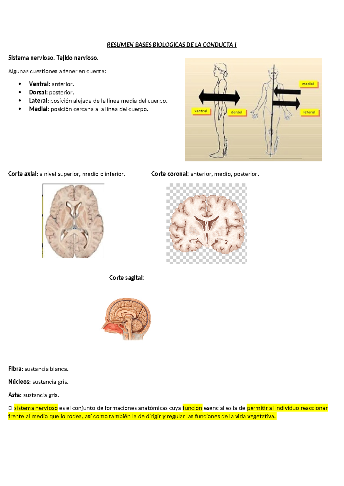 Resumen Bases Biologicas DE LA Conducta I - RESUMEN BASES BIOLOGICAS DE ...