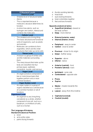 Trans Template - cardio and skeletal system reviewer - Anatomy and ...