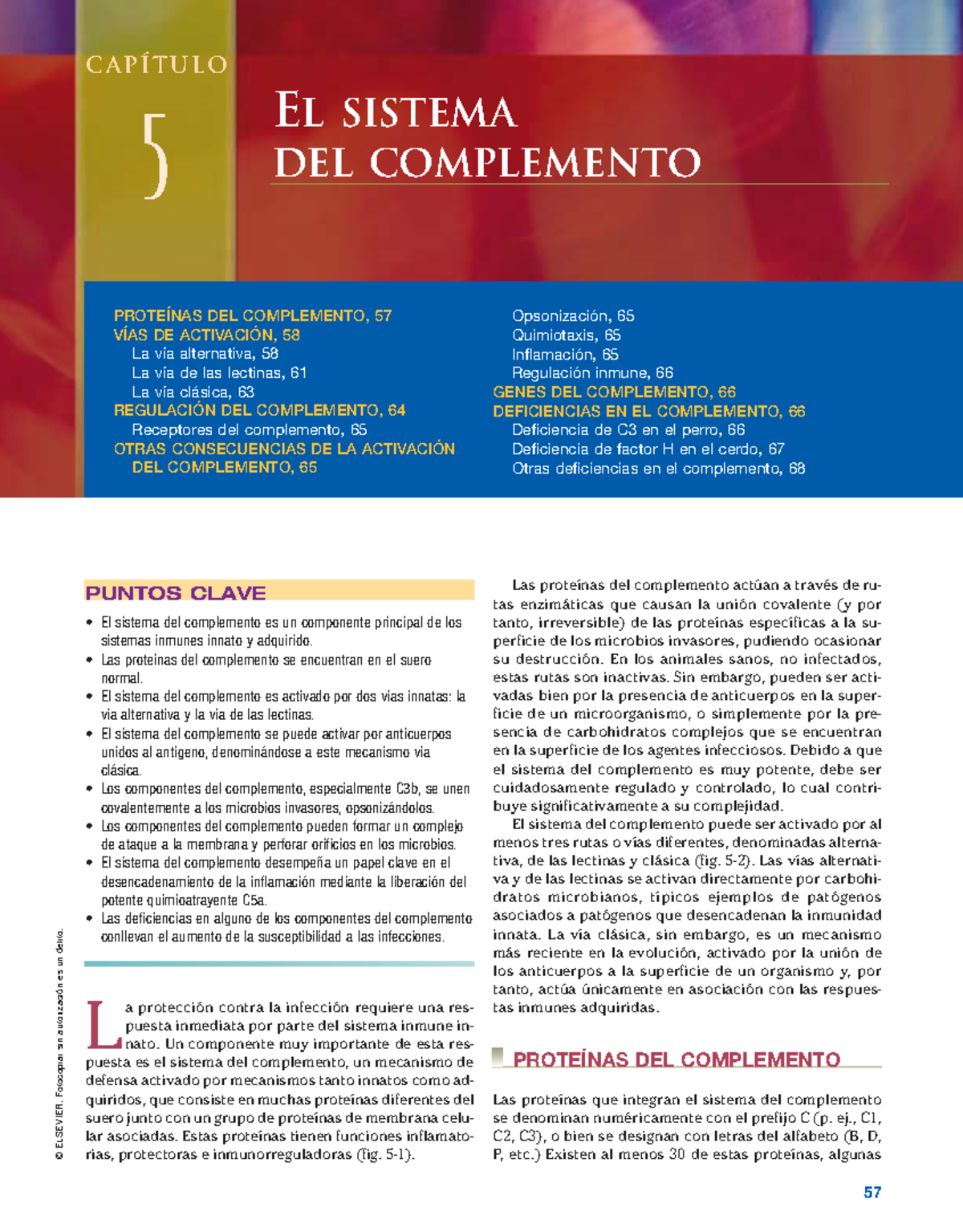 Páginas de Tizard El complemento - © ELSEVIER. Fotocopiar sin ...