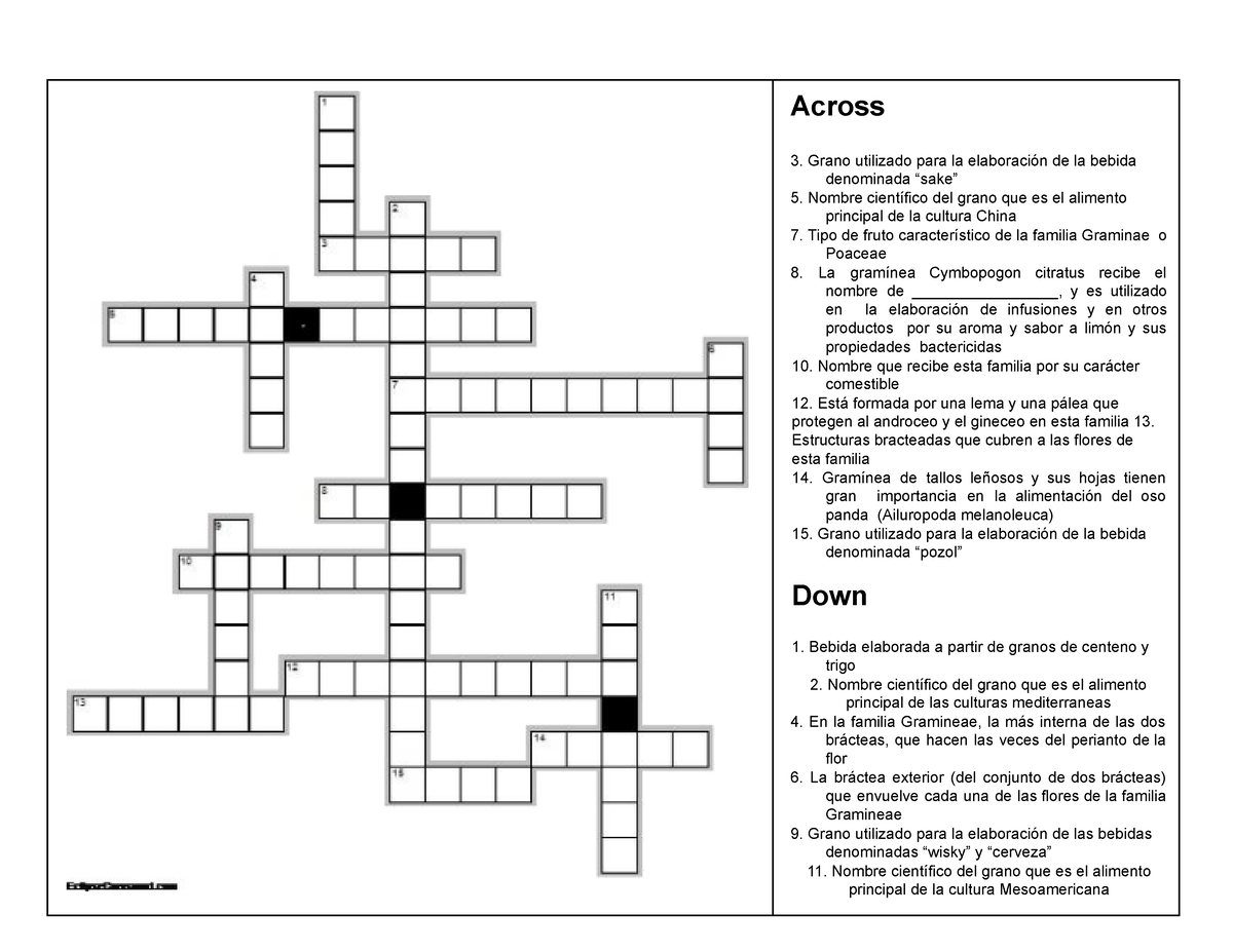 Crucigrama Poaceae Crusigrama Opcional Plantas Vasculares Ipn Studocu