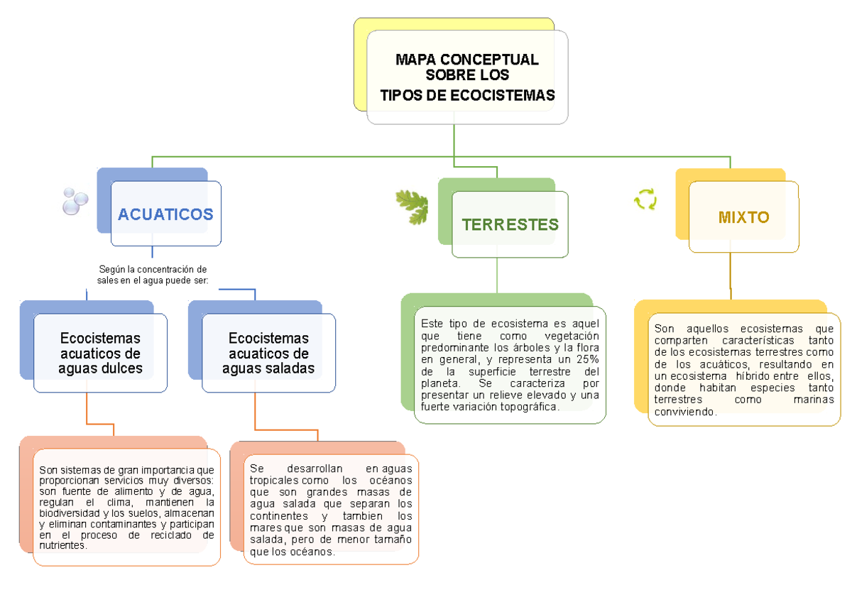 322310221 - 2 Mapa conceptual Tipos de Ecocistemas - MAPA CONCEPTUAL