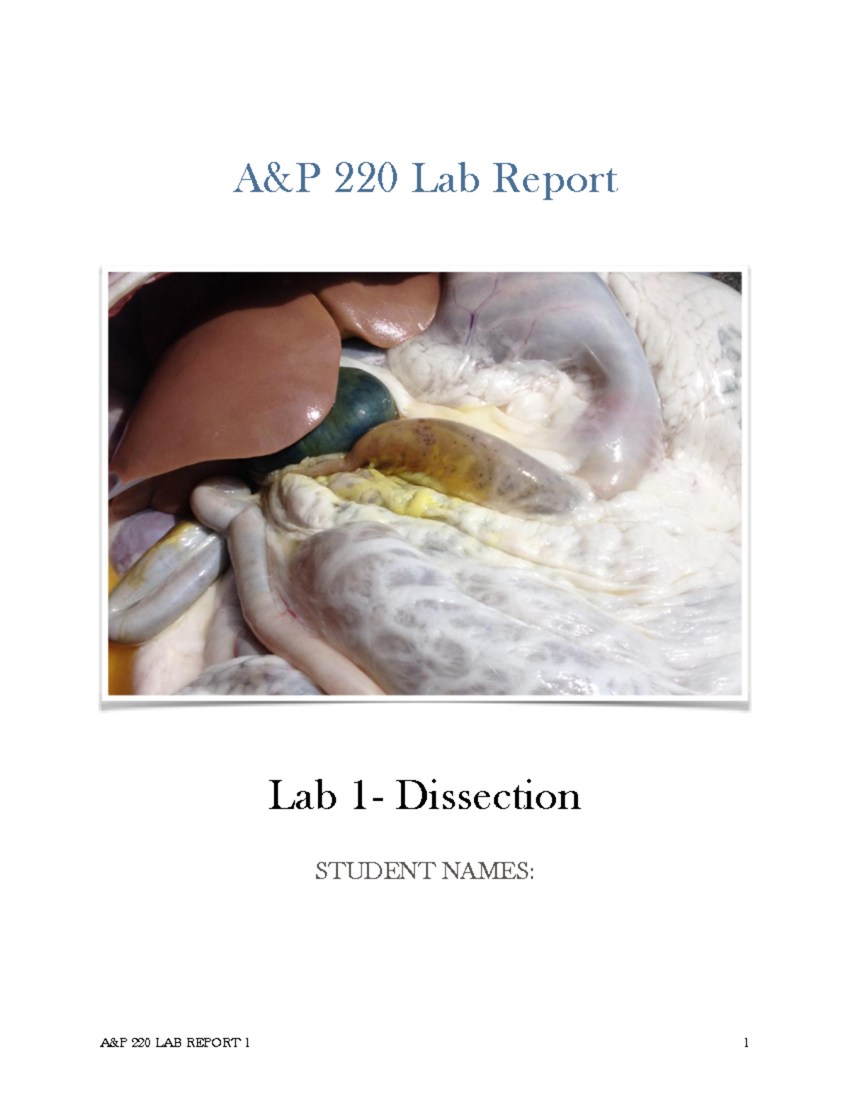 Lab 1Dissection Report 20202 A&P 220 Lab Report Lab 1 Dissection