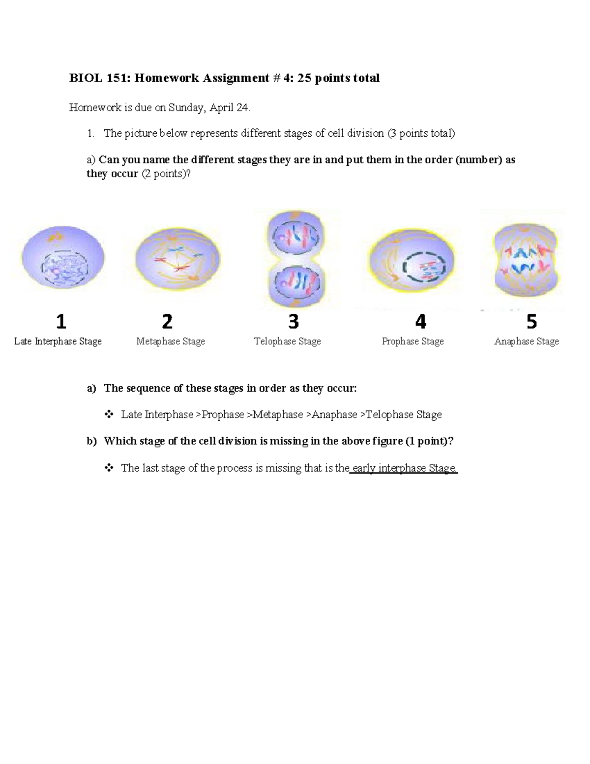 mastering biology homework 4