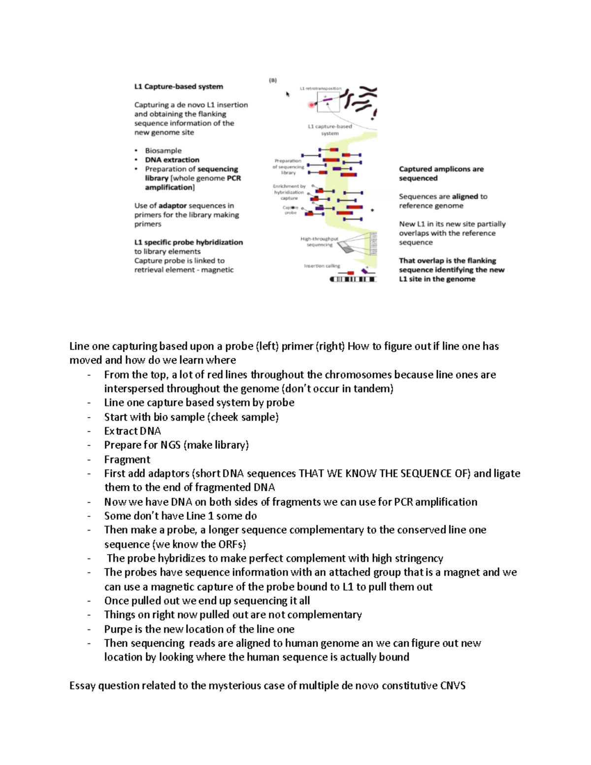 Review Session 2 Essay Question Line one capturing based upon a probe