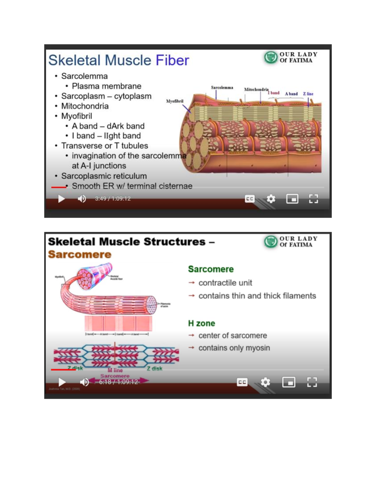 Muscle 1 - Nursing - Studocu
