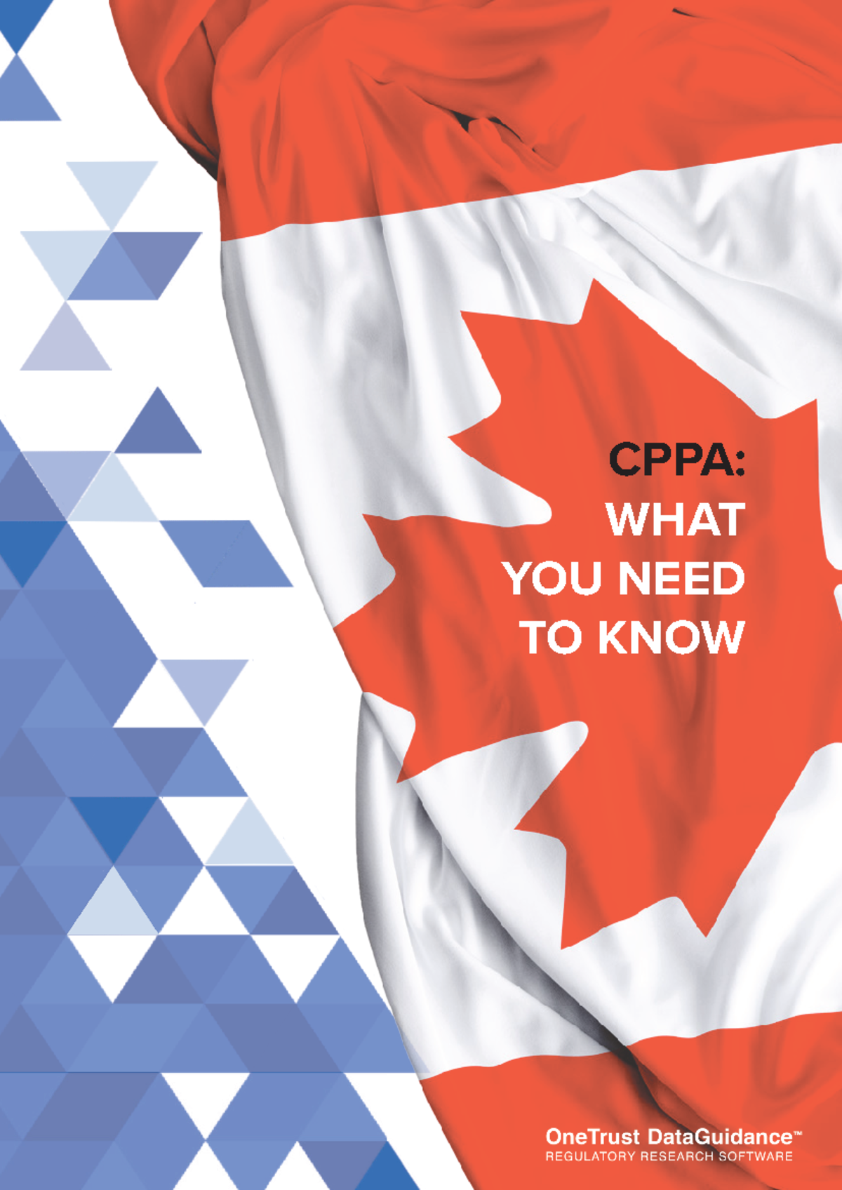 Cppa whatyouneedtoknow - CPPA: WHAT YOU NEED TO KNOW 2 Published by ...