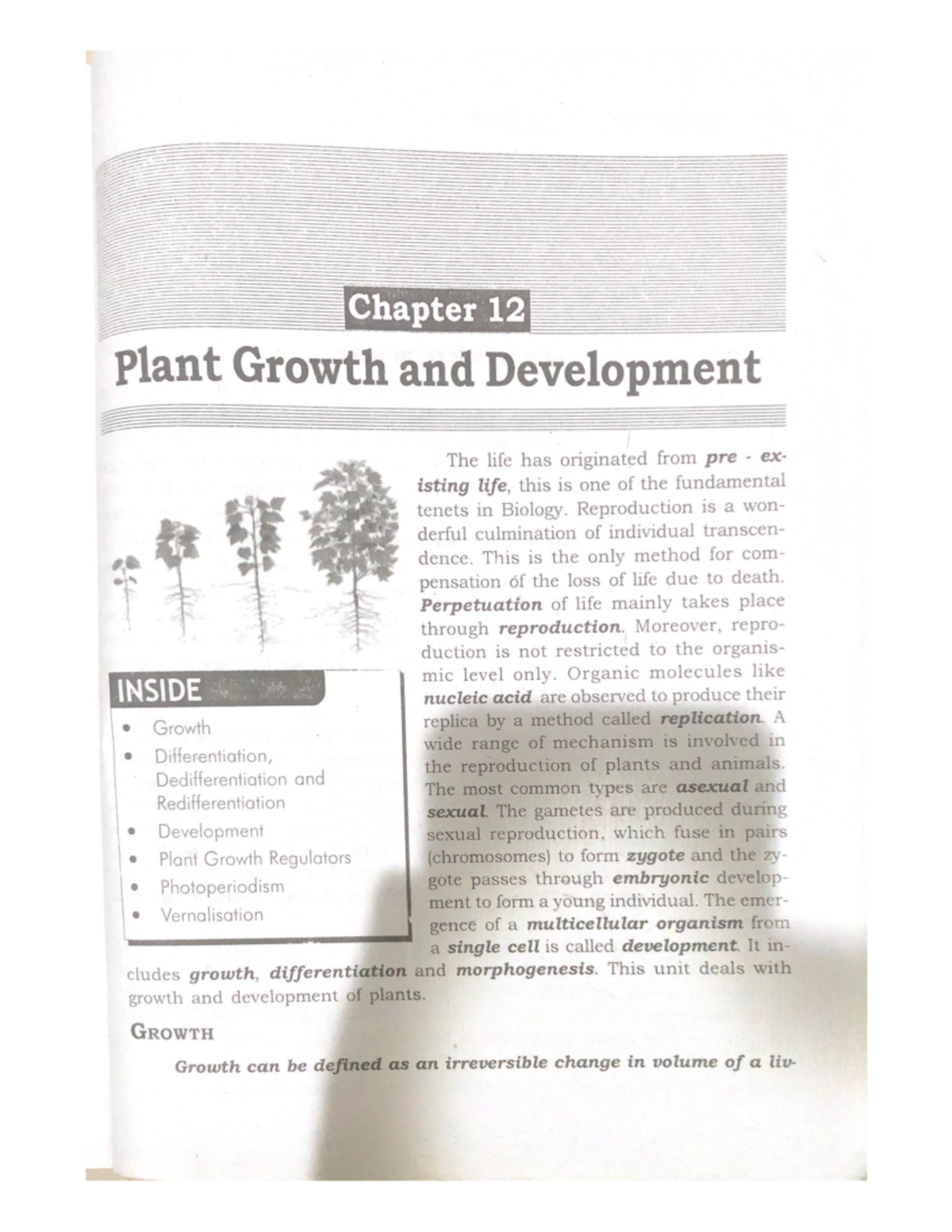 plant-growth-development-plus-two-biology-studocu