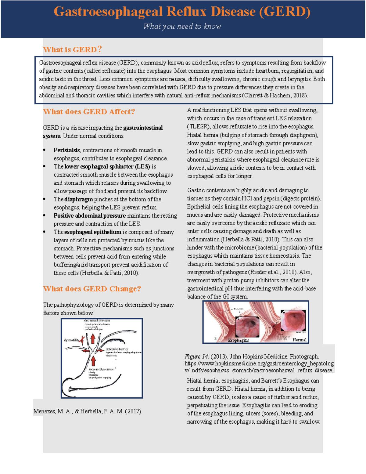 phgy216-independent-research-assignment-what-is-gerd-what-does-gerd