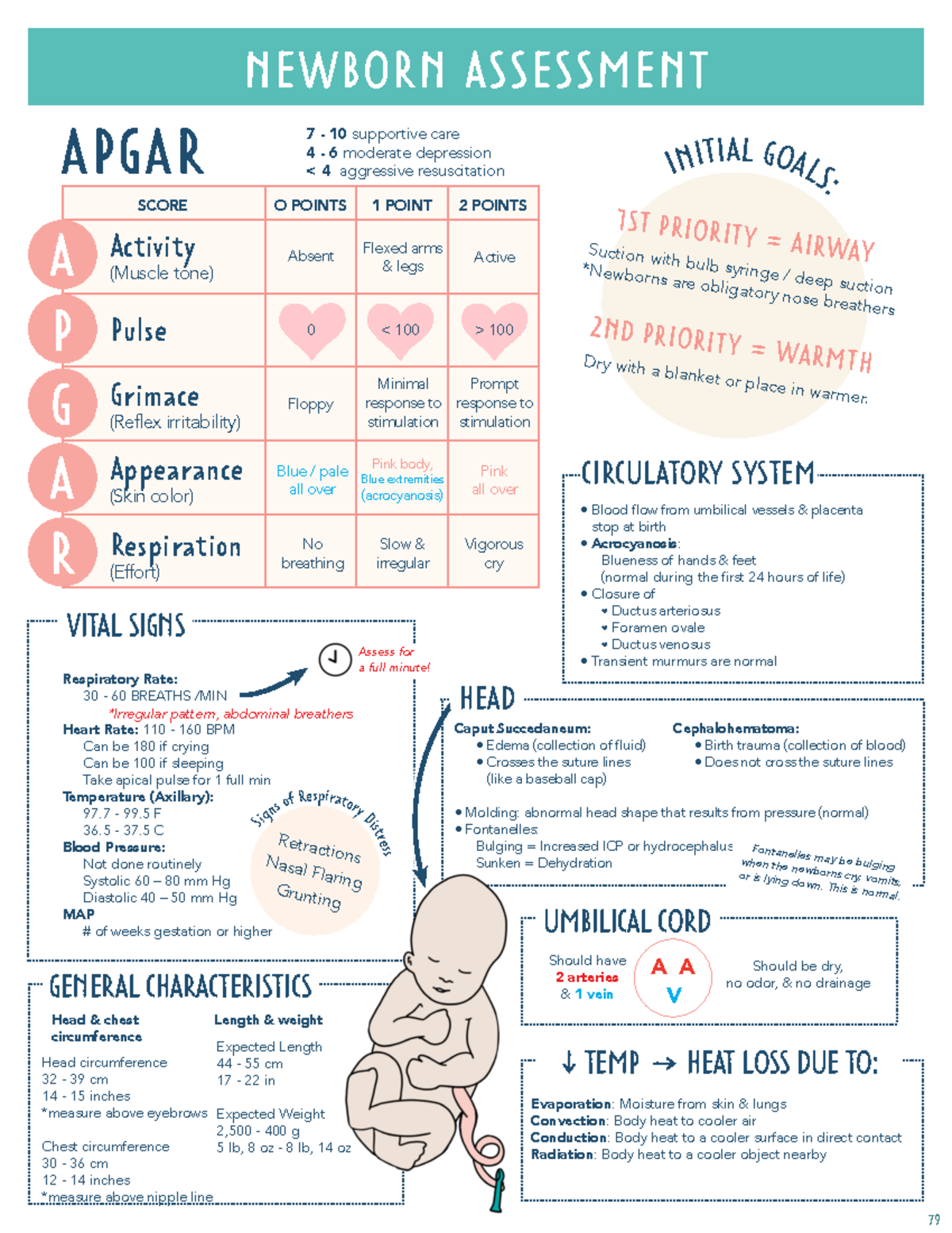 Newborn Assessment - NEWBORN ASSESSMENT APGAR O POINTS Absent Floppy 0 ...