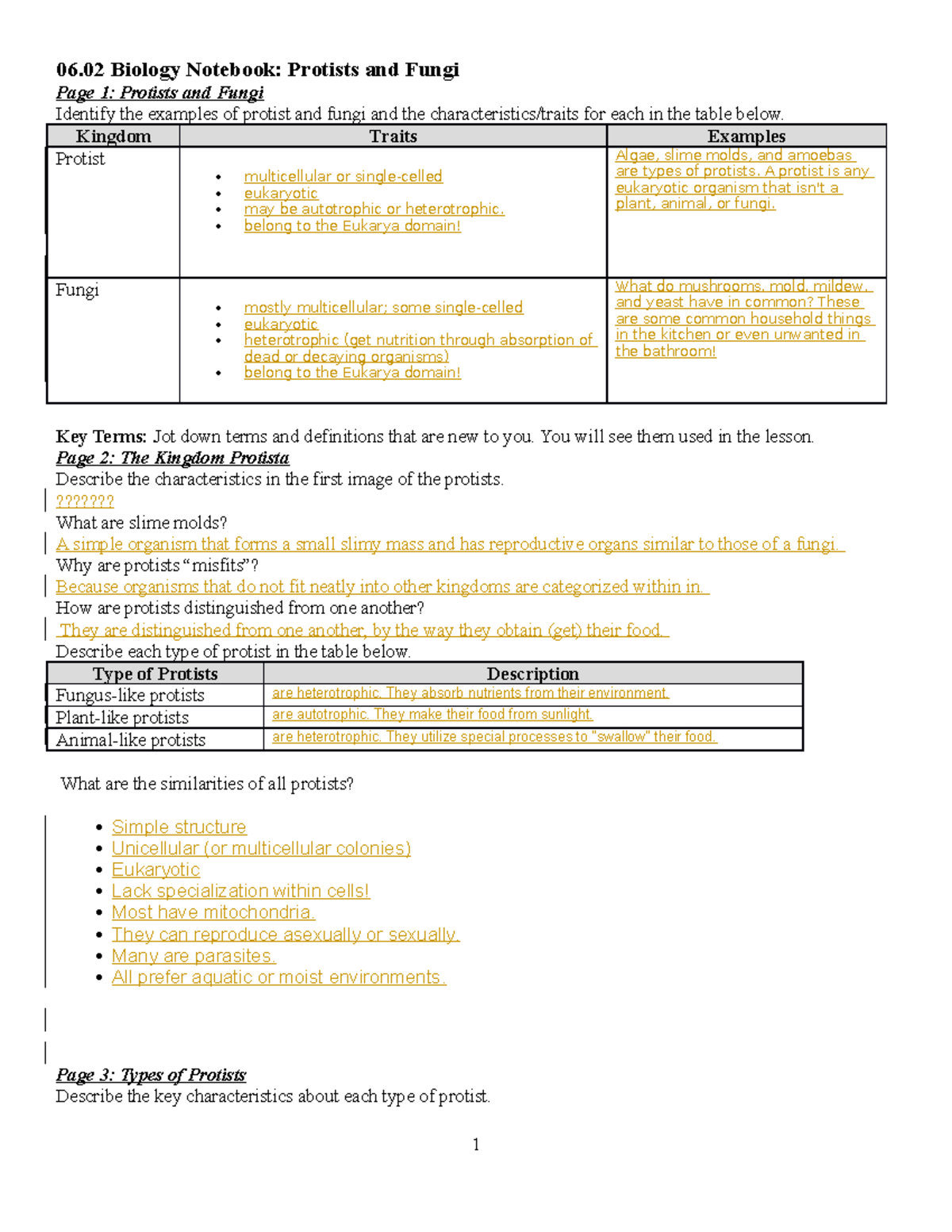 06 02 protists and fungi - 06 Biology Notebook: Protists and Fungi Page ...